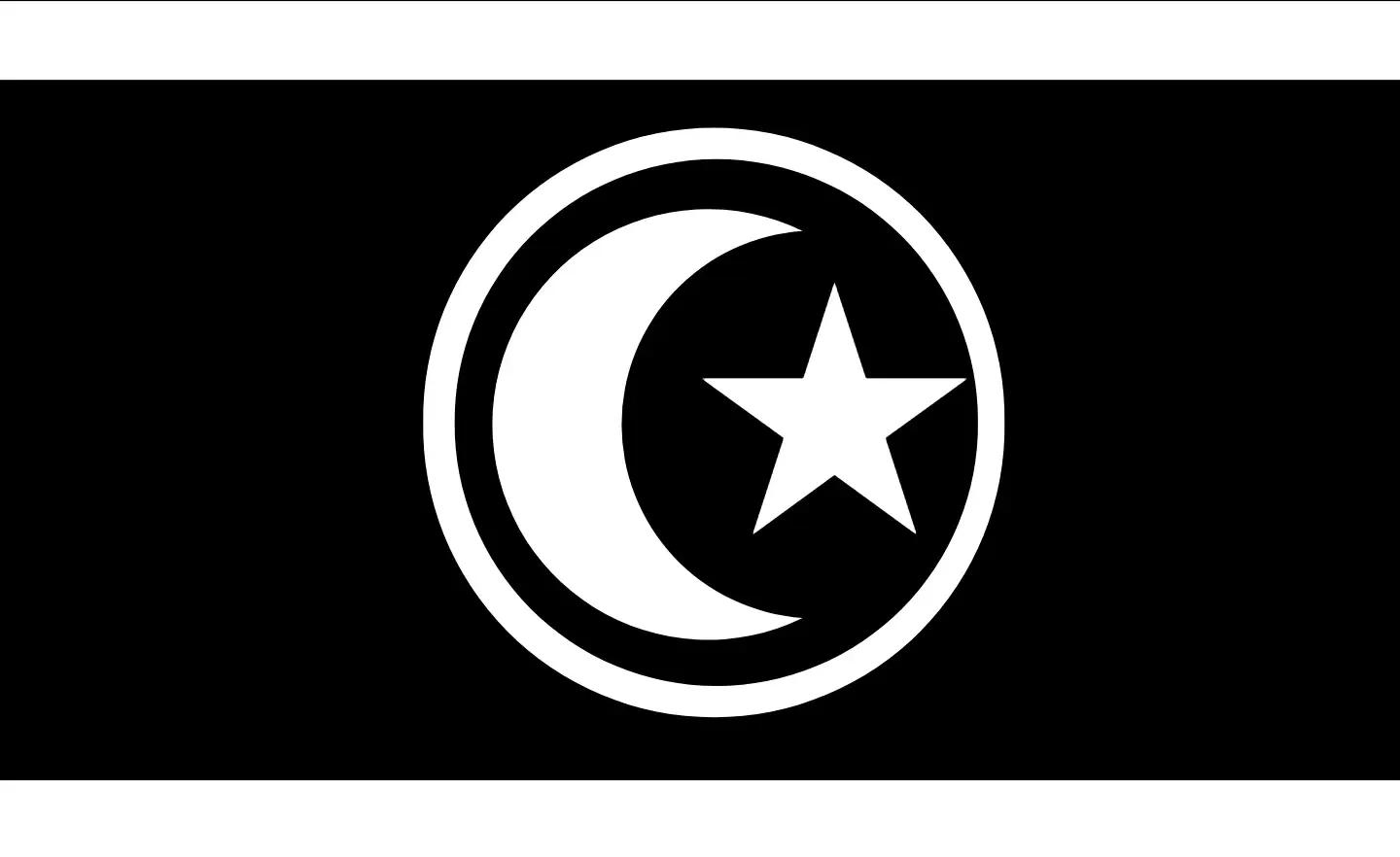 Flag of the tarukça constructed language