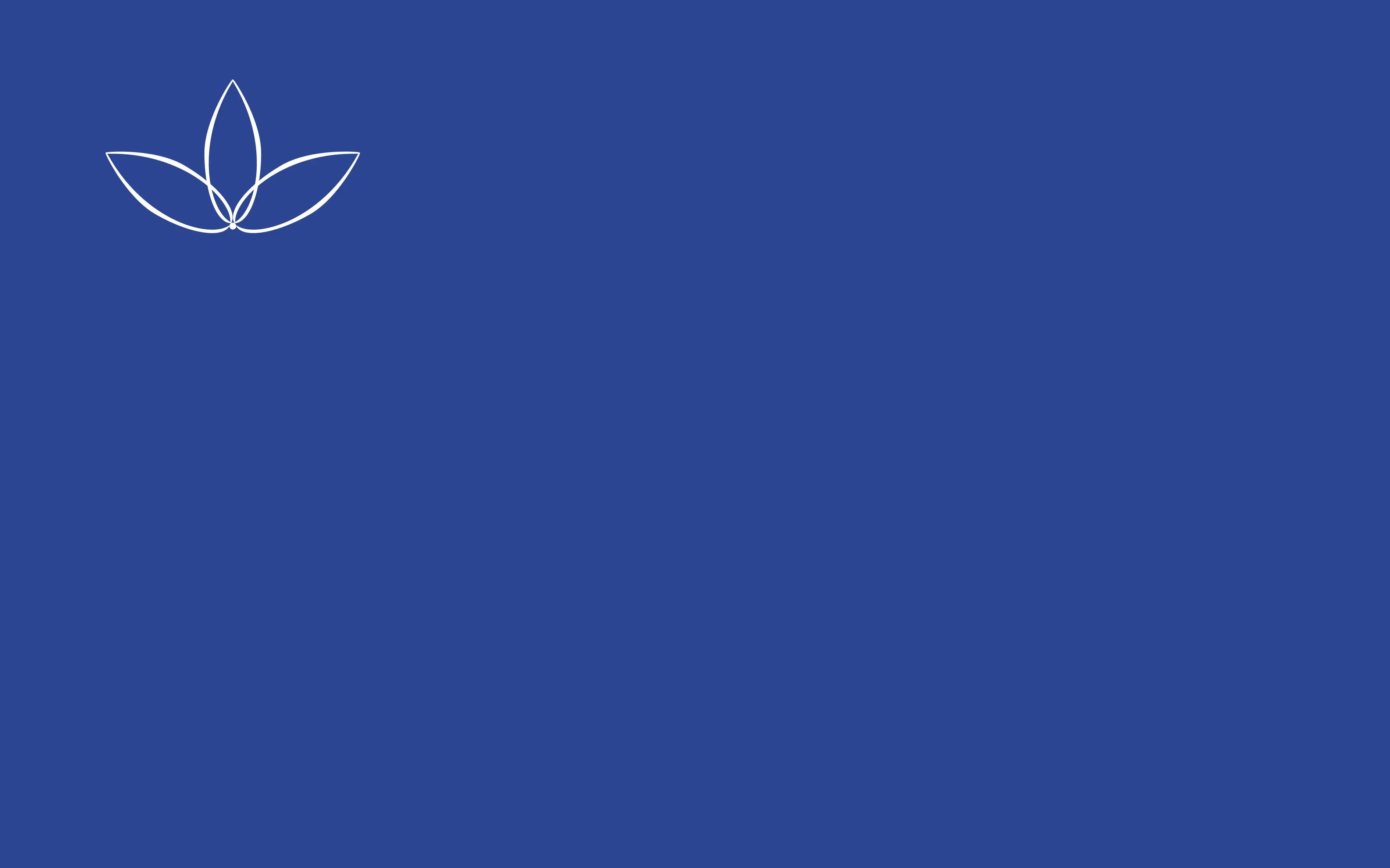 Flag of the Aranityle constructed language