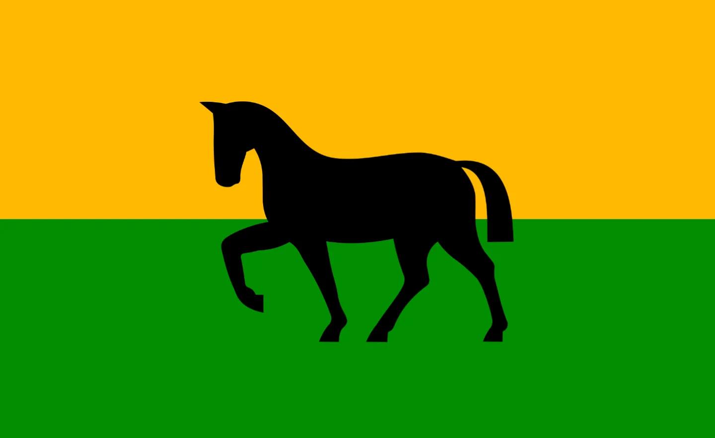 Flag of the Damawa constructed language