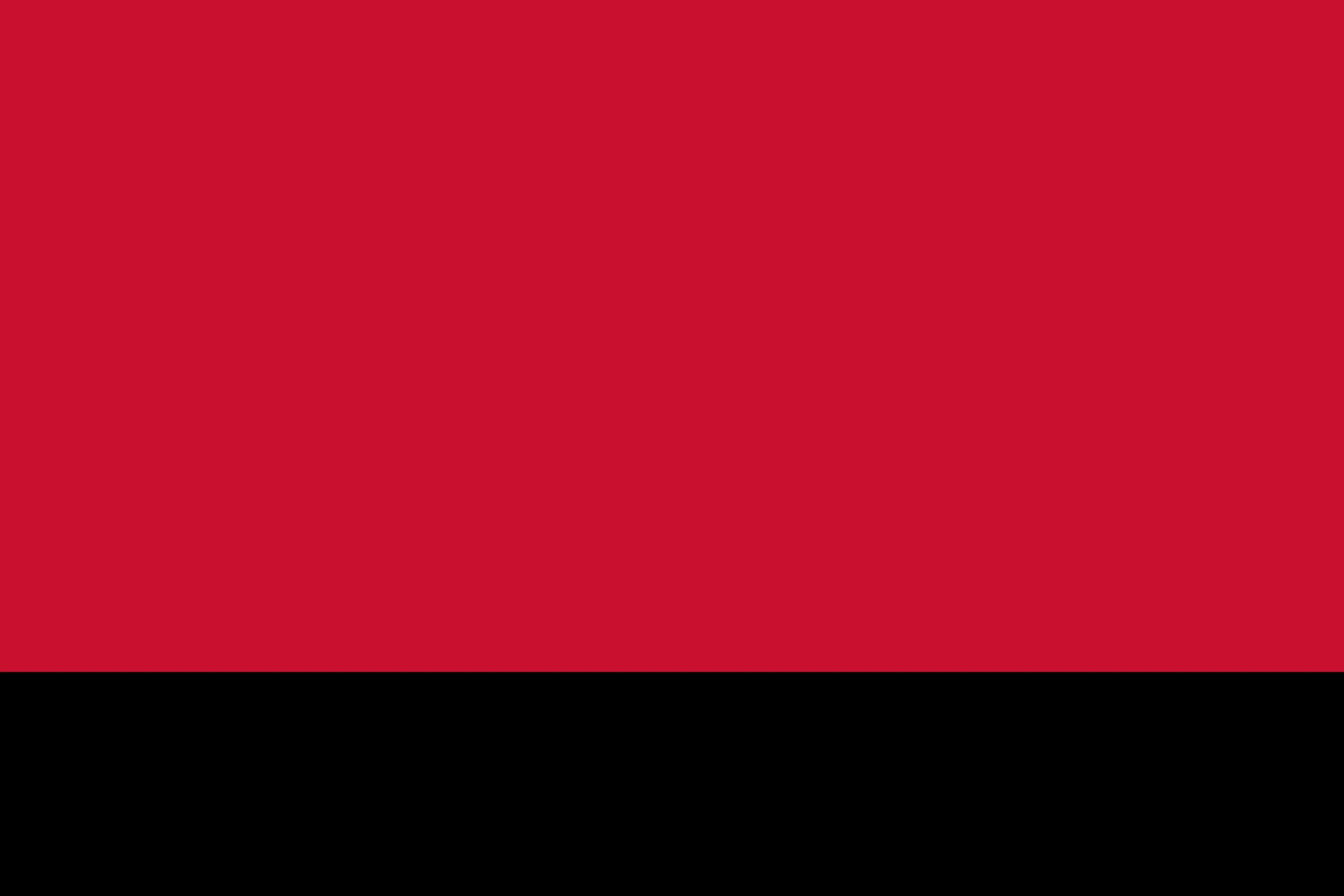 Flag of the Dutesk Language constructed language