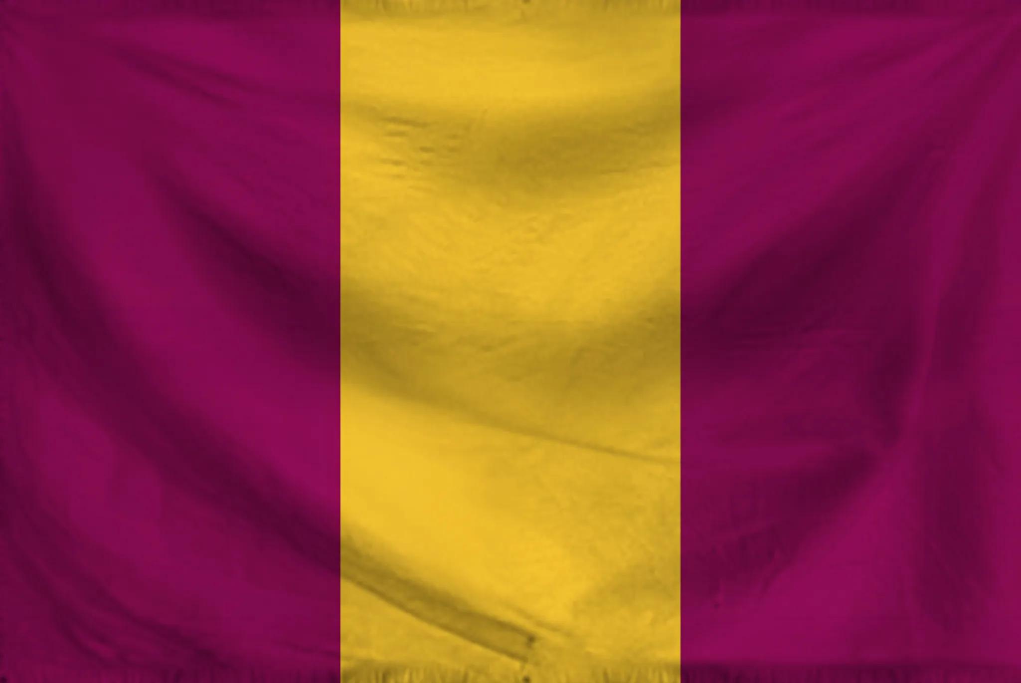 Flag of the Neo-Etruscan constructed language
