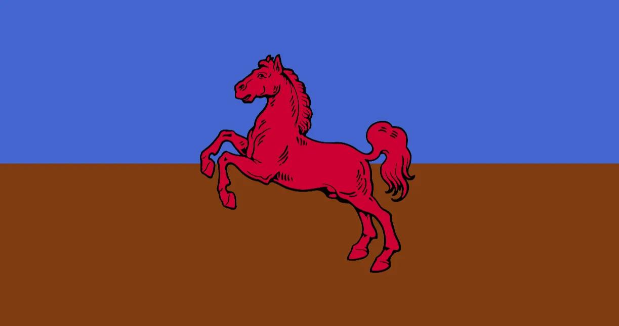 Flag of the Bageo constructed language