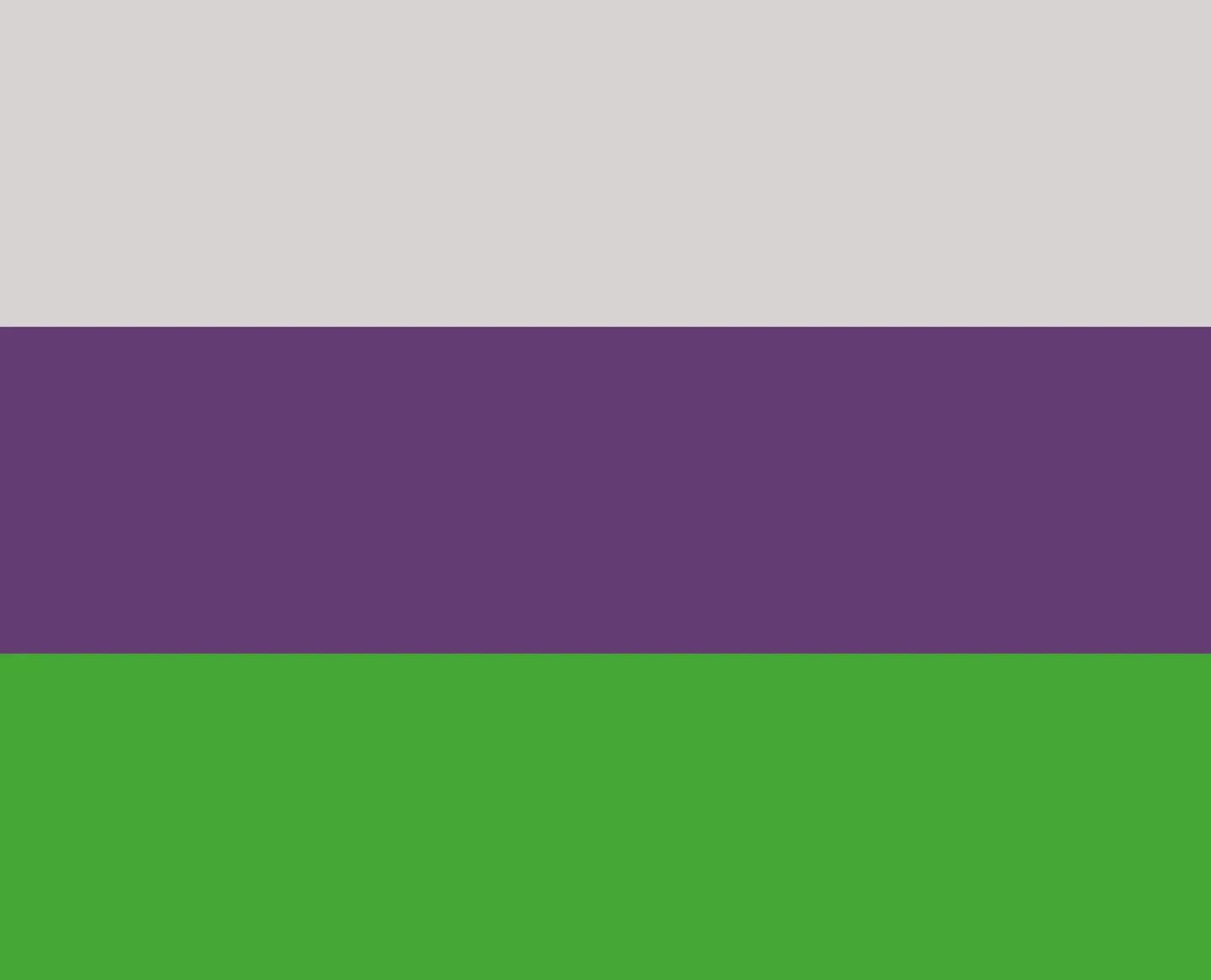 Flag of the Pannai constructed language