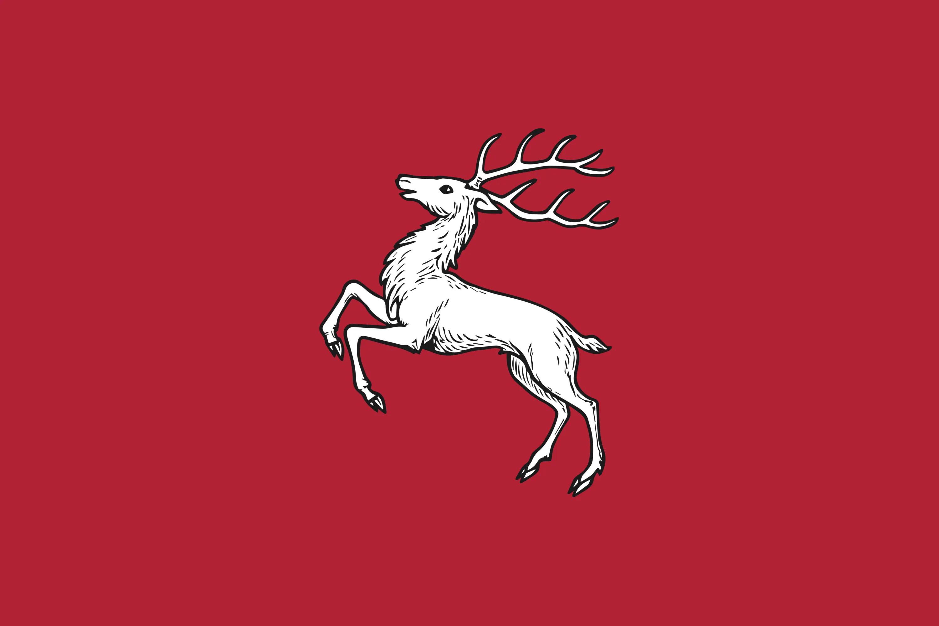 Flag of the Proto-Drelic constructed language