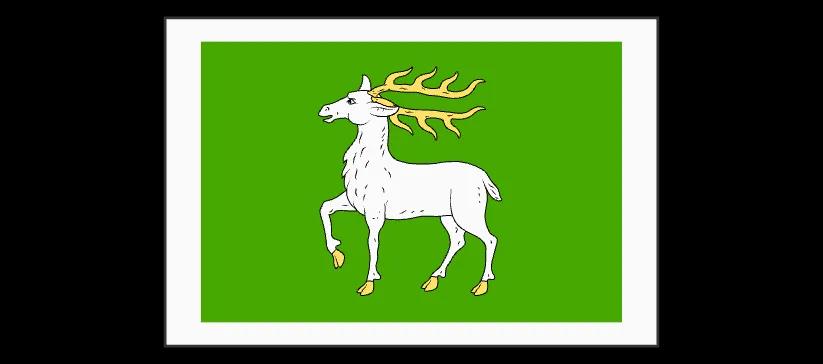 Flag of the Saakviü constructed language