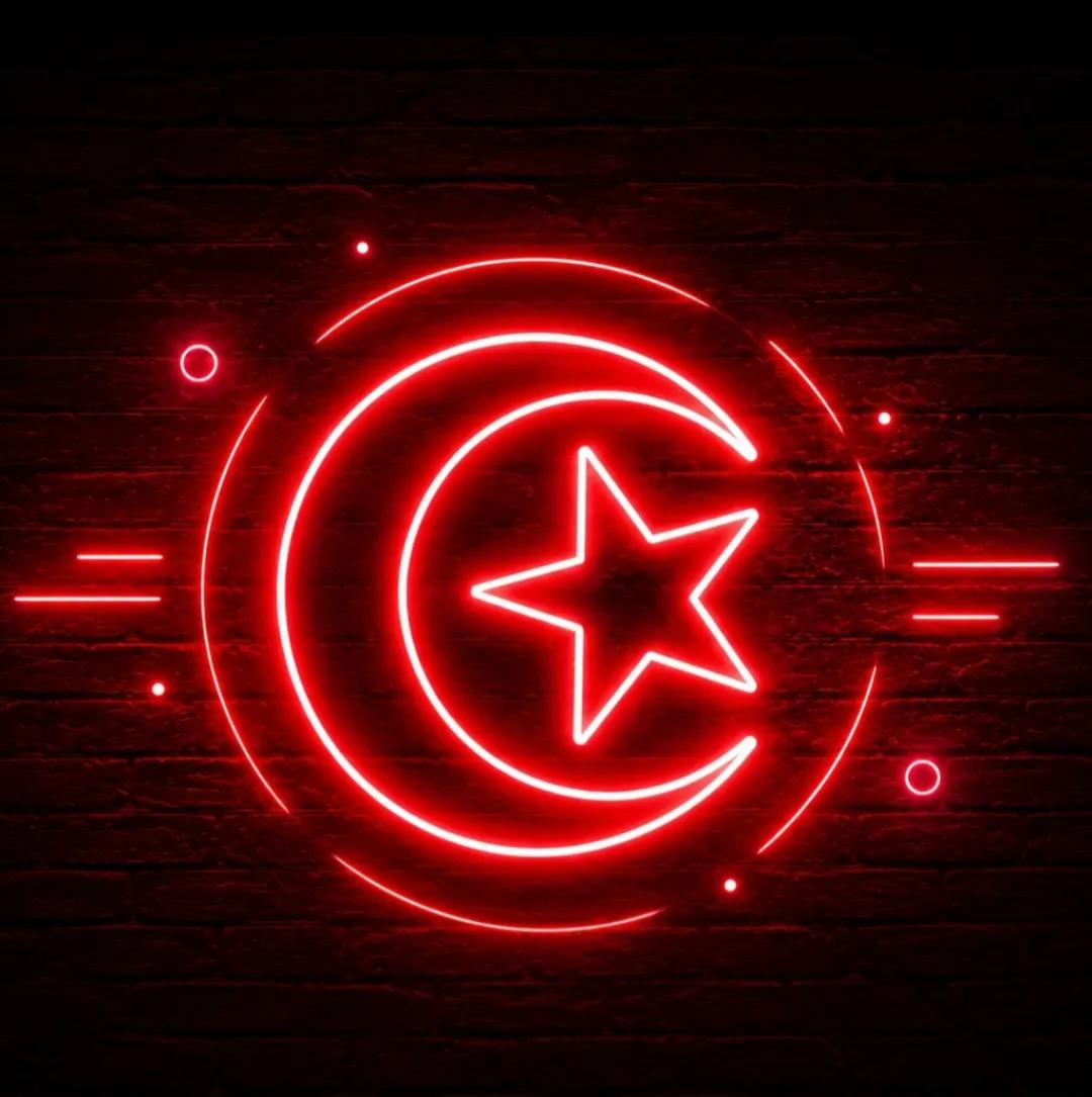 Flag of the Tunisian constructed language