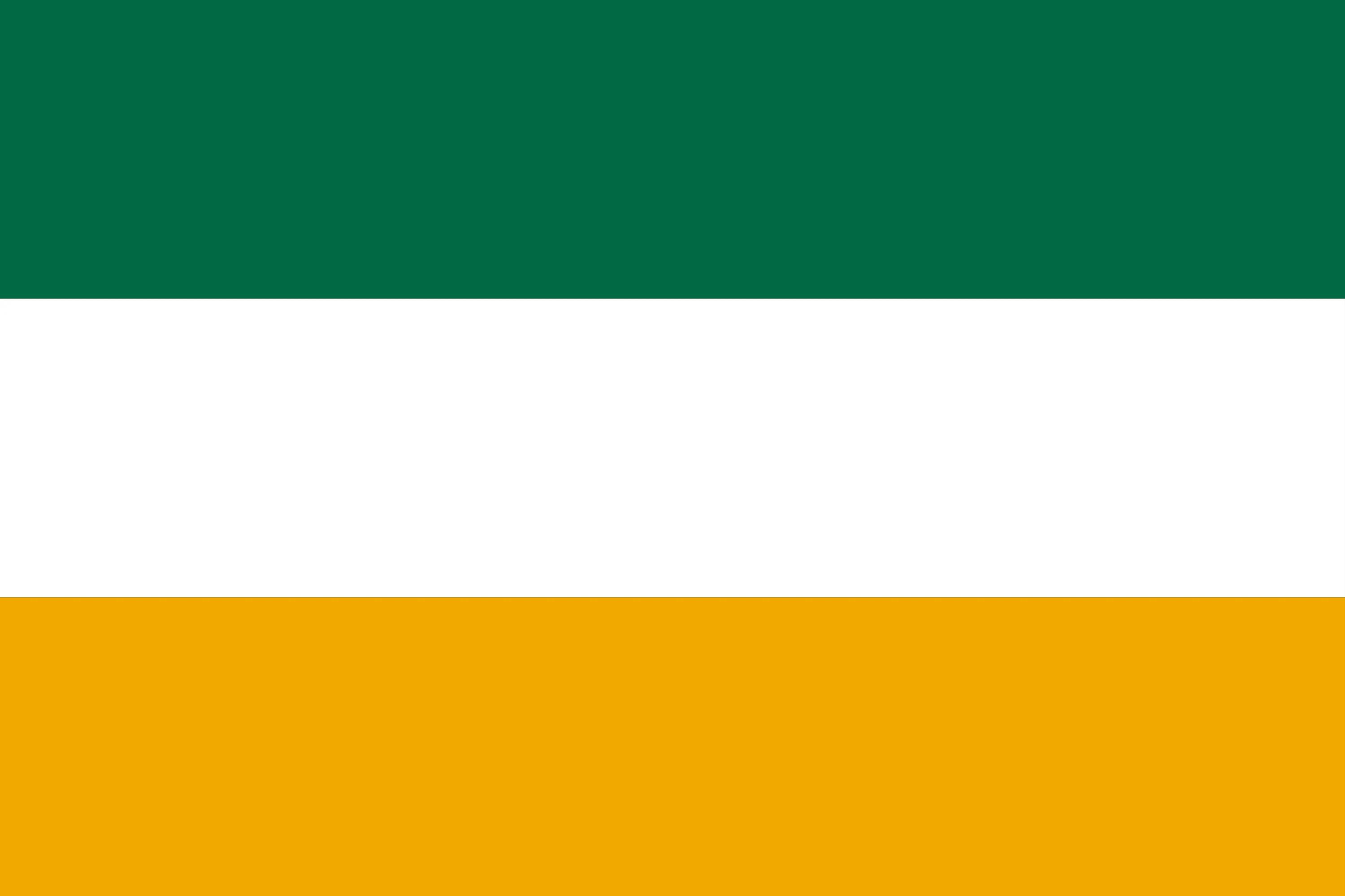 Flag of the Moixsaurian constructed language
