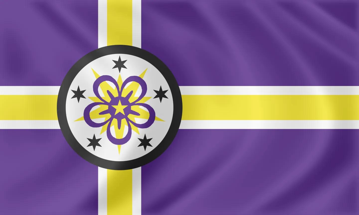 Flag of the Q'arungaa constructed language