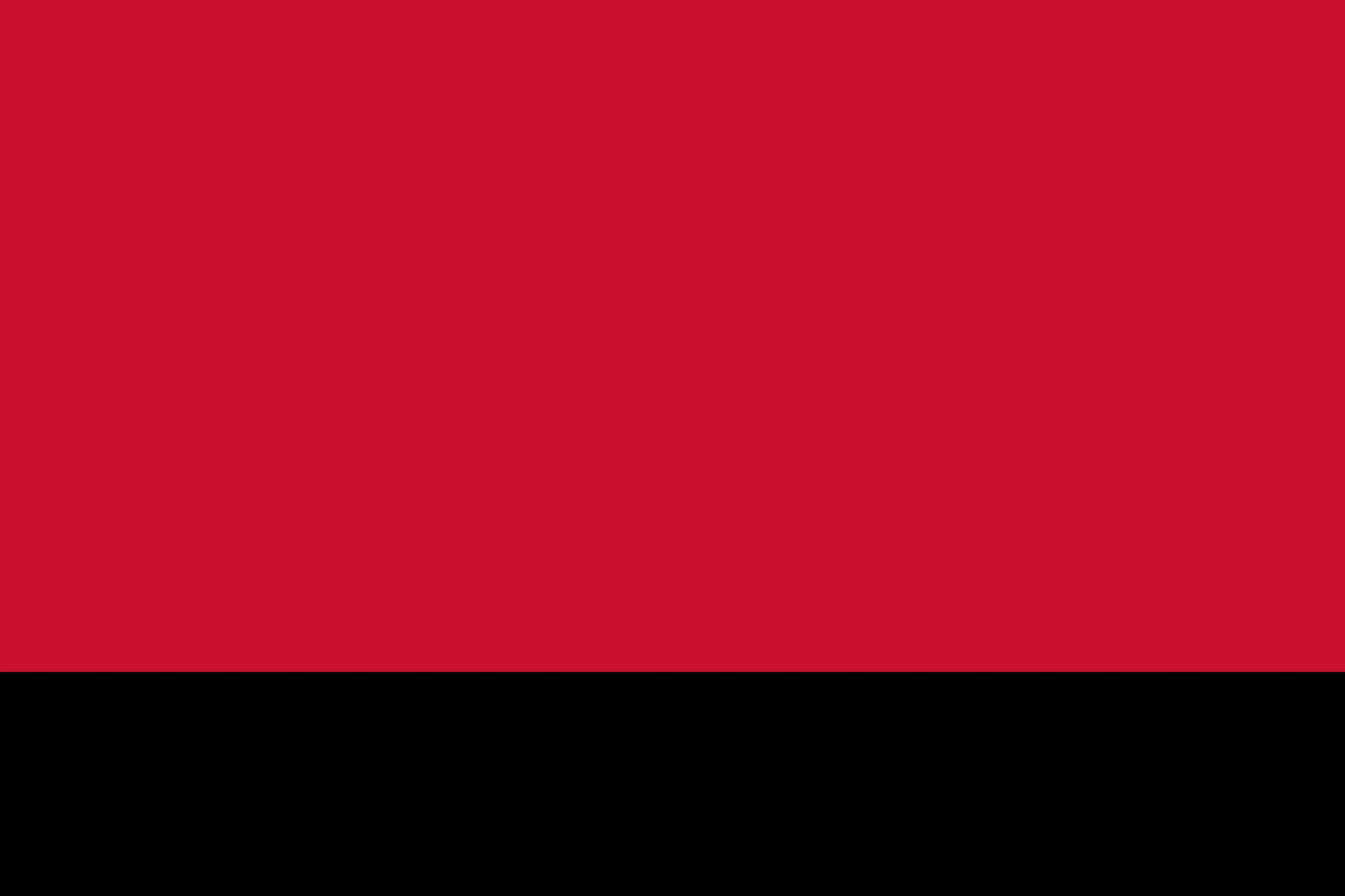 Dutesk Language